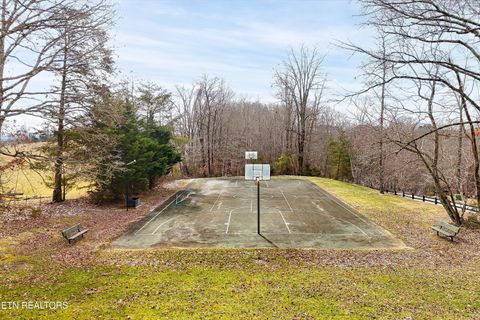 Tiny photo for 284 Smokey Quartz Blvd, New Tazewell, TN 37825 (MLS # 1331296)