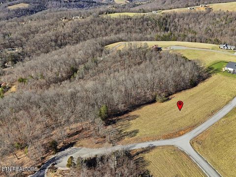Tiny photo for 284 Smokey Quartz Blvd, New Tazewell, TN 37825 (MLS # 1331296)