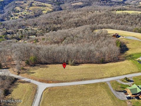 Tiny photo for 284 Smokey Quartz Blvd, New Tazewell, TN 37825 (MLS # 1331296)