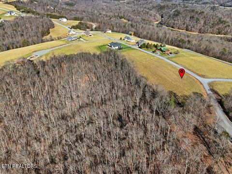Tiny photo for 284 Smokey Quartz Blvd, New Tazewell, TN 37825 (MLS # 1331296)