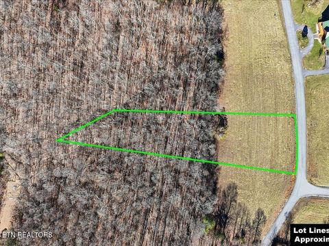 Tiny photo for 284 Smokey Quartz Blvd, New Tazewell, TN 37825 (MLS # 1331296)