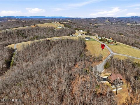 Tiny photo for 284 Smokey Quartz Blvd, New Tazewell, TN 37825 (MLS # 1331296)