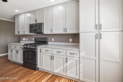 Tiny photo for 2115 Bradley Lane, Sevierville, TN 37876 (MLS # 1317512)