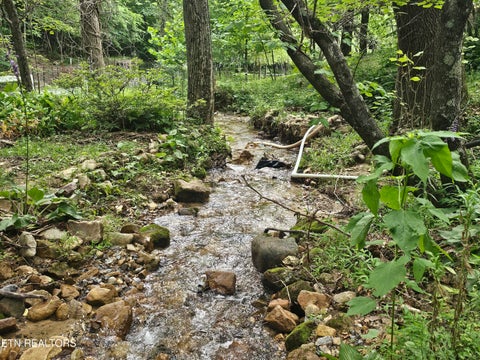 Tiny photo for 925 Tweed Springs Rd, Greeneville, TN 37743 (MLS # 1360015)