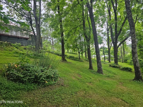 Tiny photo for 925 Tweed Springs Rd, Greeneville, TN 37743 (MLS # 1360015)