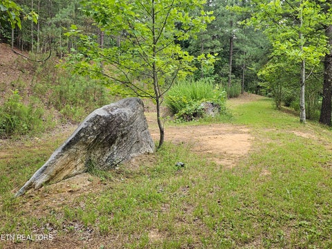 Tiny photo for 925 Tweed Springs Rd, Greeneville, TN 37743 (MLS # 1360015)