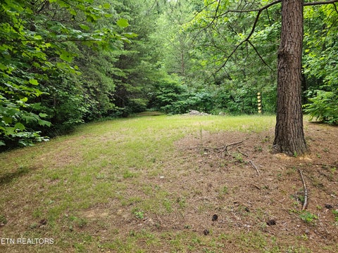 Tiny photo for 925 Tweed Springs Rd, Greeneville, TN 37743 (MLS # 1360015)