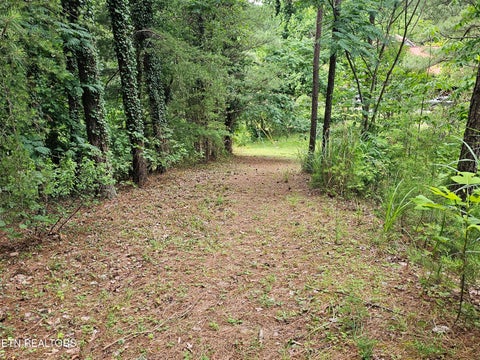 Tiny photo for 925 Tweed Springs Rd, Greeneville, TN 37743 (MLS # 1360015)