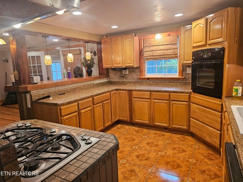 Tiny photo for 925 Tweed Springs Rd, Greeneville, TN 37743 (MLS # 1360015)