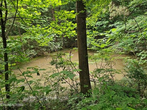 Tiny photo for 925 Tweed Springs Rd, Greeneville, TN 37743 (MLS # 1360015)