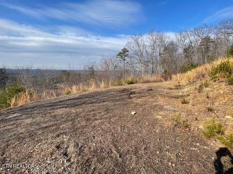 Tiny photo for 235 Indian Ridge Drive, Tellico Plains, TN 37385 (MLS # 1328234)