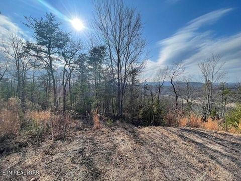 Tiny photo for 235 Indian Ridge Drive, Tellico Plains, TN 37385 (MLS # 1328234)