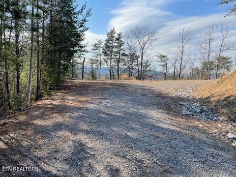 Tiny photo for 235 Indian Ridge Drive, Tellico Plains, TN 37385 (MLS # 1328234)