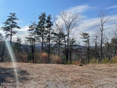 Tiny photo for 235 Indian Ridge Drive, Tellico Plains, TN 37385 (MLS # 1328234)