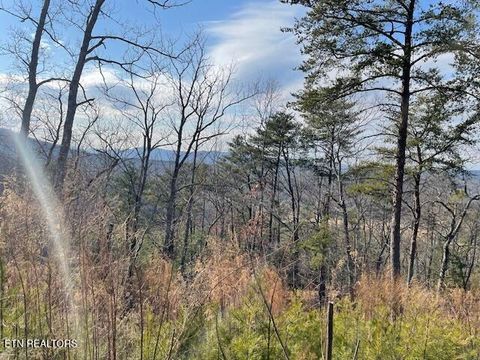 Tiny photo for 235 Indian Ridge Drive, Tellico Plains, TN 37385 (MLS # 1328234)