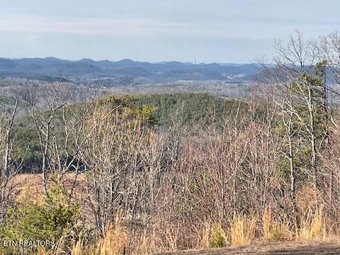 Tiny photo for 235 Indian Ridge Drive, Tellico Plains, TN 37385 (MLS # 1328234)