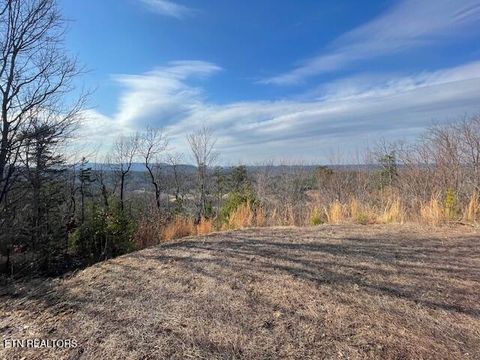 Tiny photo for 235 Indian Ridge Drive, Tellico Plains, TN 37385 (MLS # 1328234)
