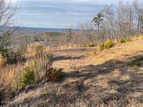 Tiny photo for 235 Indian Ridge Drive, Tellico Plains, TN 37385 (MLS # 1328234)
