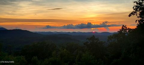 Photo of 235 Indian Ridge Drive, Tellico Plains, TN 37385 (MLS # 1328234)