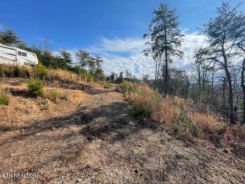 Tiny photo for 235 Indian Ridge Drive, Tellico Plains, TN 37385 (MLS # 1328234)