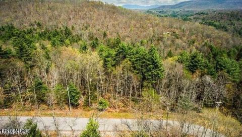 Photo of Lot 38 Green Ridge Tr, Harriman, TN 37748 (MLS # 1334326)