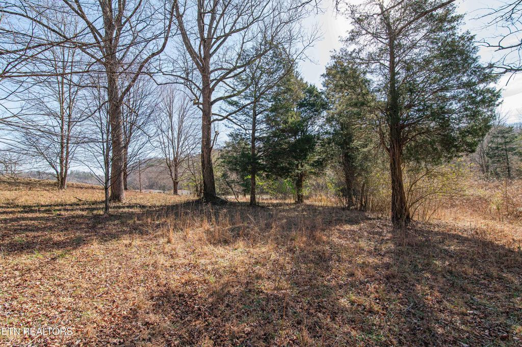 Photo of 2482 Old Harriman Hwy, Oliver Springs, TN 37840 (MLS # 1288869)
