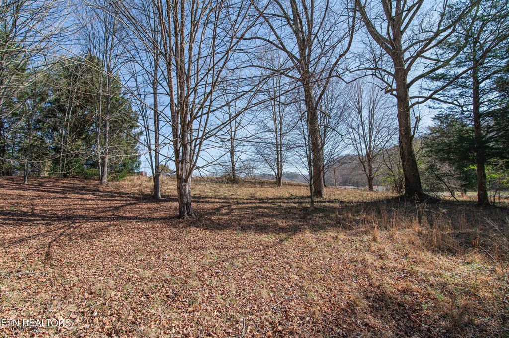 Photo of 2482 Old Harriman Hwy, Oliver Springs, TN 37840 (MLS # 1288869)