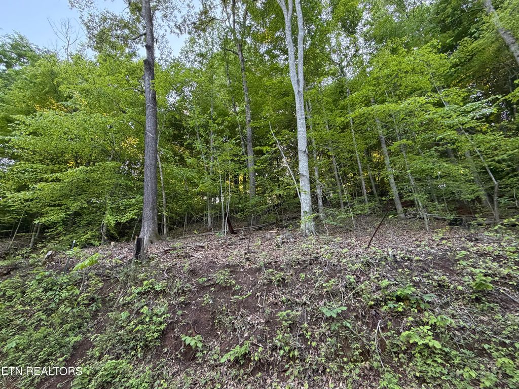 Photo of lots A&amp;B Alder Springs Rd, LaFollette, TN 37766 (MLS # 1340353)