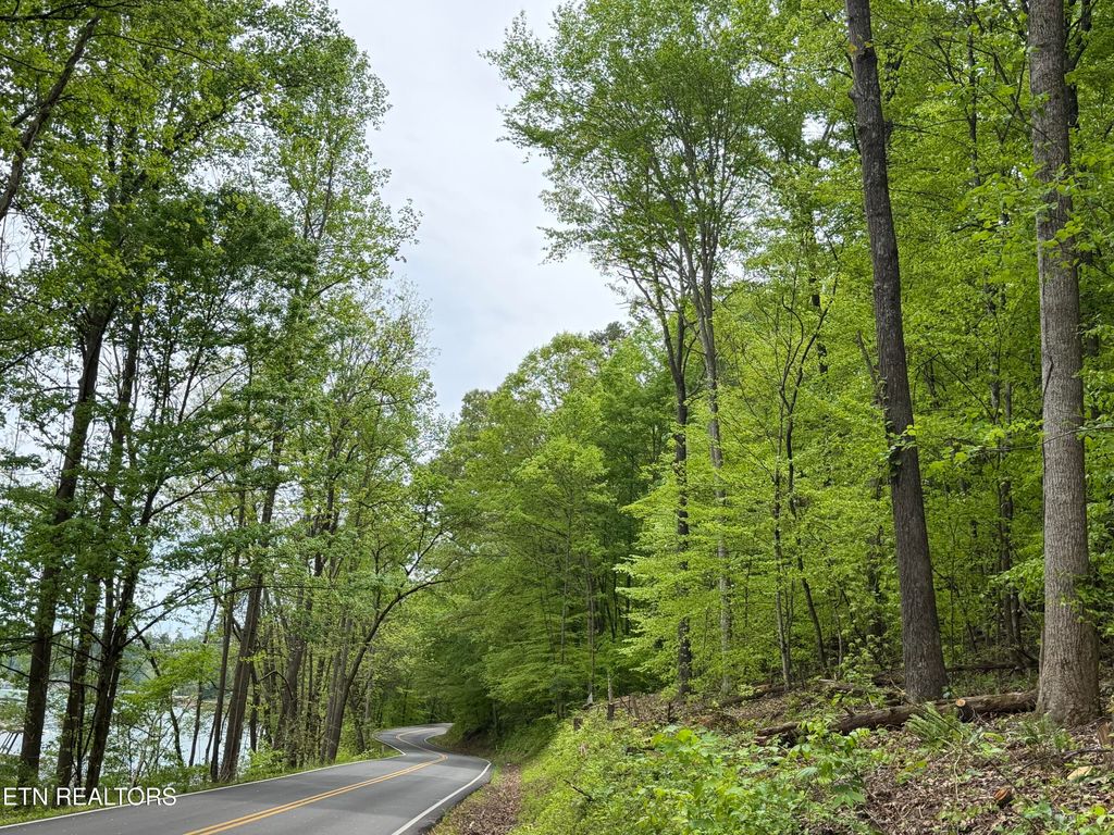 Photo of lots A&amp;B Alder Springs Rd, LaFollette, TN 37766 (MLS # 1340353)