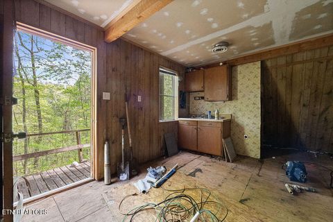 Tiny photo for 3640 Vixen Way, Cosby, TN 37722 (MLS # 1336620)