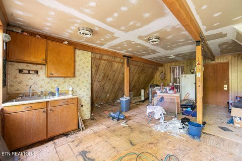 Tiny photo for 3640 Vixen Way, Cosby, TN 37722 (MLS # 1336620)