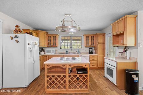 Tiny photo for 3640 Vixen Way, Cosby, TN 37722 (MLS # 1336620)