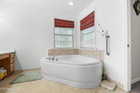 Tiny photo for 3640 Vixen Way, Cosby, TN 37722 (MLS # 1336620)