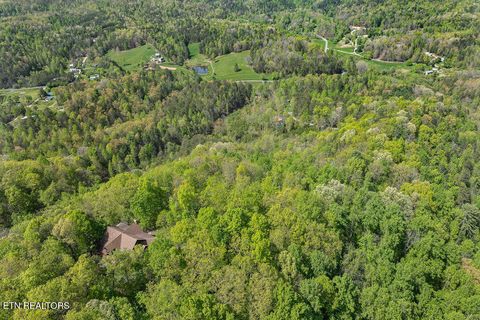 Tiny photo for 3640 Vixen Way, Cosby, TN 37722 (MLS # 1336620)