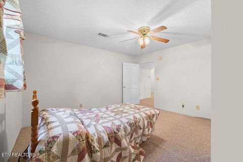 Tiny photo for 3640 Vixen Way, Cosby, TN 37722 (MLS # 1336620)