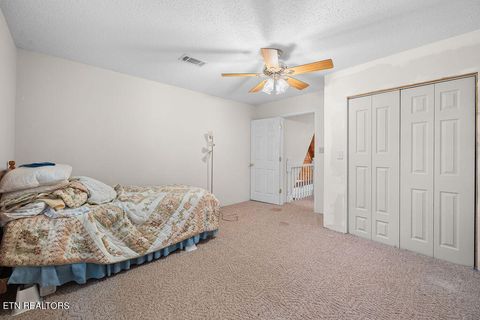 Tiny photo for 3640 Vixen Way, Cosby, TN 37722 (MLS # 1336620)