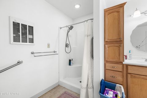 Tiny photo for 3640 Vixen Way, Cosby, TN 37722 (MLS # 1336620)
