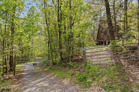 Tiny photo for 3640 Vixen Way, Cosby, TN 37722 (MLS # 1336620)