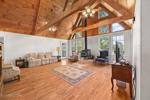 Tiny photo for 3640 Vixen Way, Cosby, TN 37722 (MLS # 1336620)