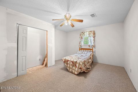 Tiny photo for 3640 Vixen Way, Cosby, TN 37722 (MLS # 1336620)