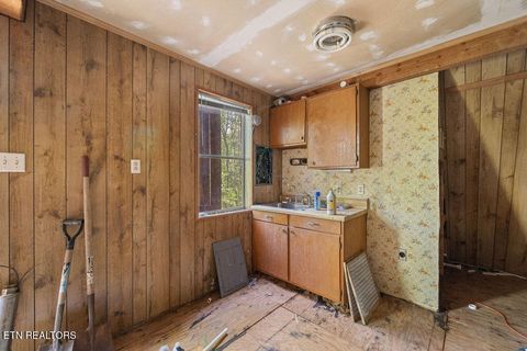 Tiny photo for 3640 Vixen Way, Cosby, TN 37722 (MLS # 1336620)