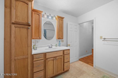 Tiny photo for 3640 Vixen Way, Cosby, TN 37722 (MLS # 1336620)