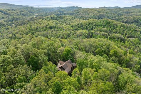 Tiny photo for 3640 Vixen Way, Cosby, TN 37722 (MLS # 1336620)