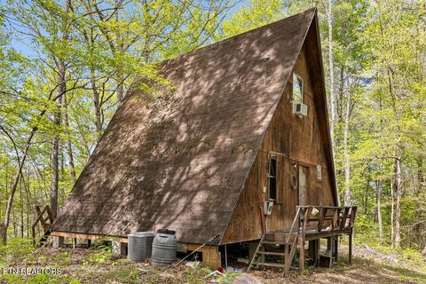 Tiny photo for 3640 Vixen Way, Cosby, TN 37722 (MLS # 1336620)