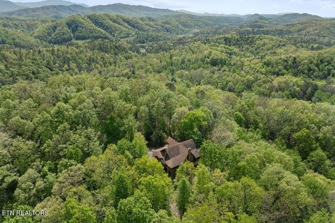 Tiny photo for 3640 Vixen Way, Cosby, TN 37722 (MLS # 1336620)