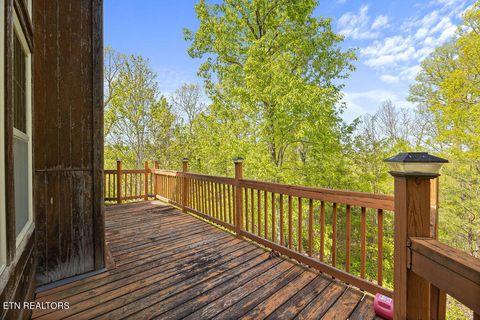 Tiny photo for 3640 Vixen Way, Cosby, TN 37722 (MLS # 1336620)