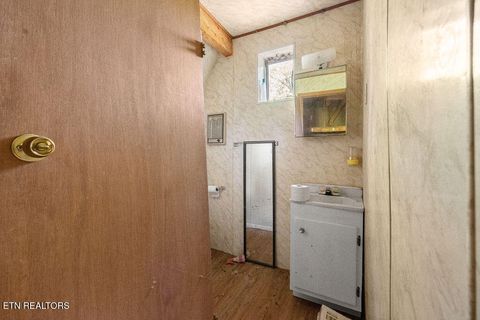 Tiny photo for 3640 Vixen Way, Cosby, TN 37722 (MLS # 1336620)