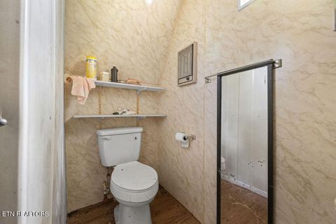 Tiny photo for 3640 Vixen Way, Cosby, TN 37722 (MLS # 1336620)