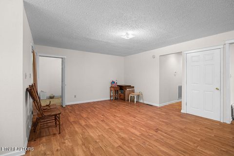 Tiny photo for 3640 Vixen Way, Cosby, TN 37722 (MLS # 1336620)