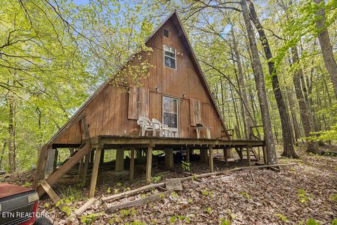 Tiny photo for 3640 Vixen Way, Cosby, TN 37722 (MLS # 1336620)